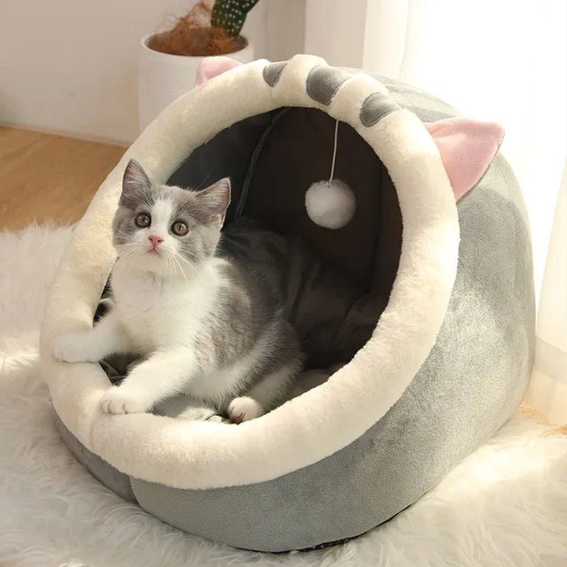 Cat Sleeping Cave