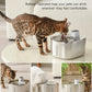 AquaPaws - Smart Wireless Pet Water Fountain