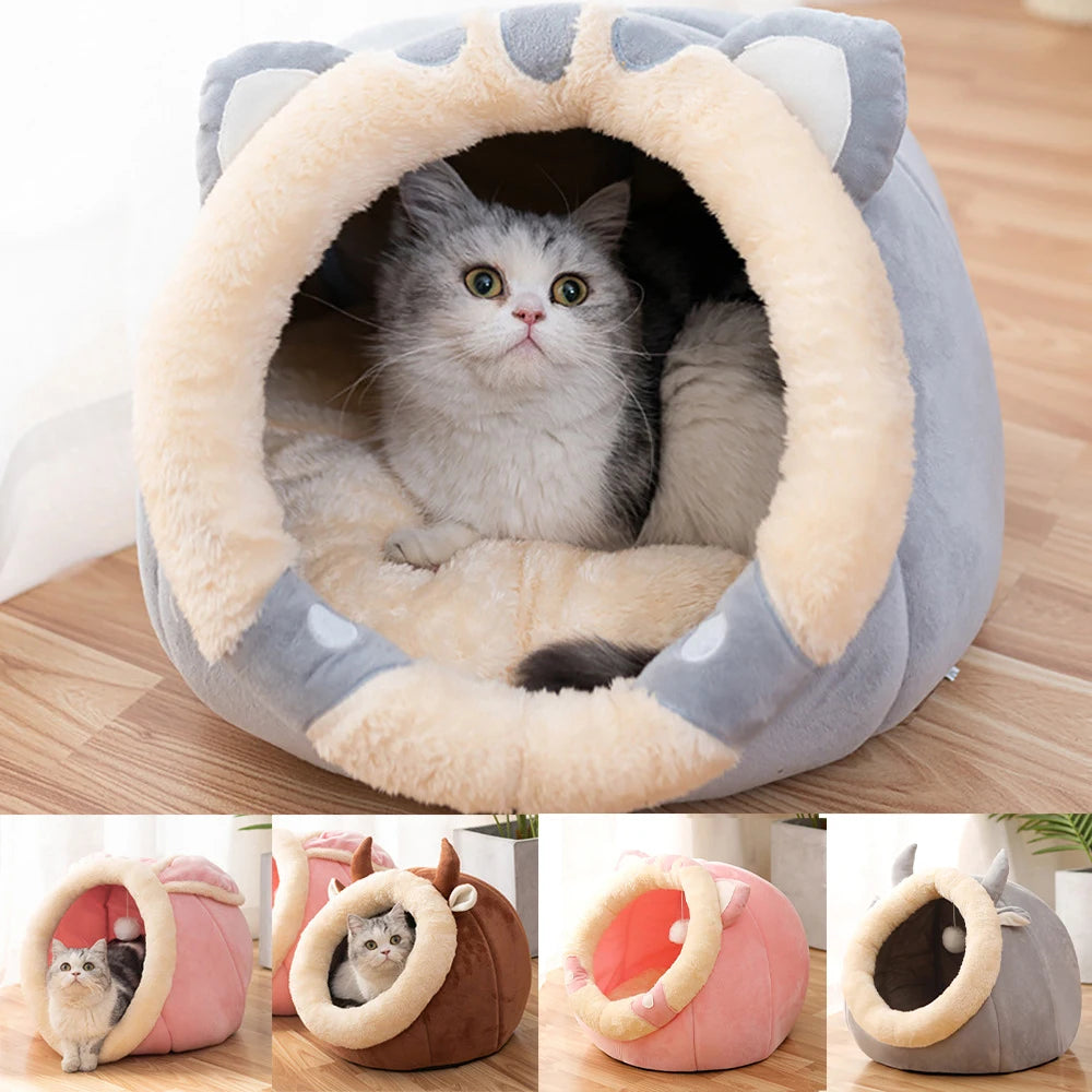 Cat Sleeping Cave