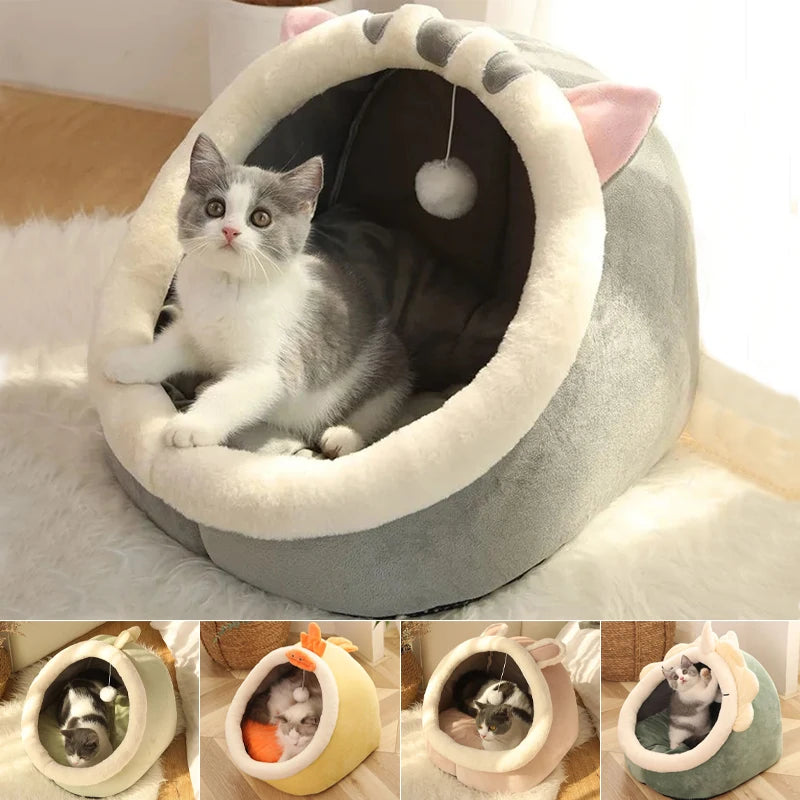 Cat Sleeping Cave