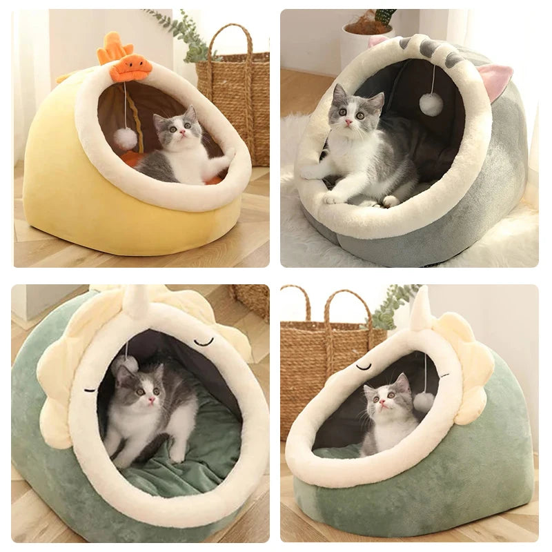 Cat Sleeping Cave