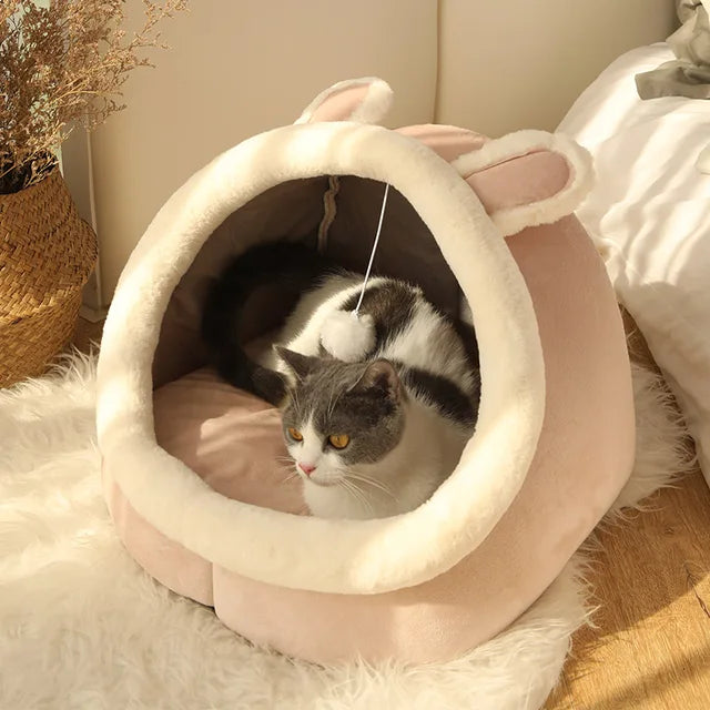 Cat Sleeping Cave