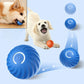 WagN'Roll Smart Ball - Smart Bouncing Toy for Dogs