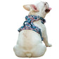 PawVogue Elite Harness - Premium Fashion for Every Dog