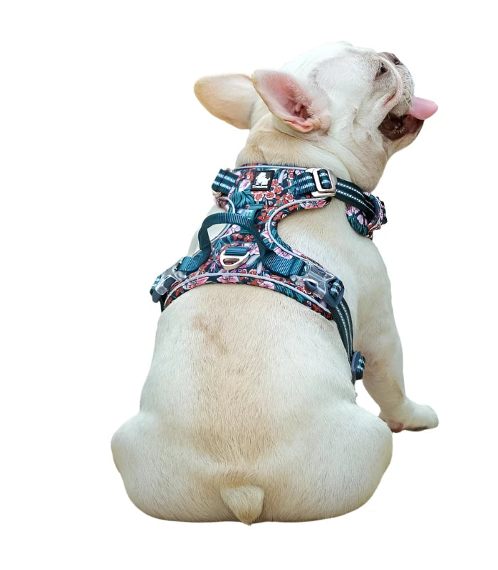 PawVogue Elite Harness - Premium Fashion for Every Dog