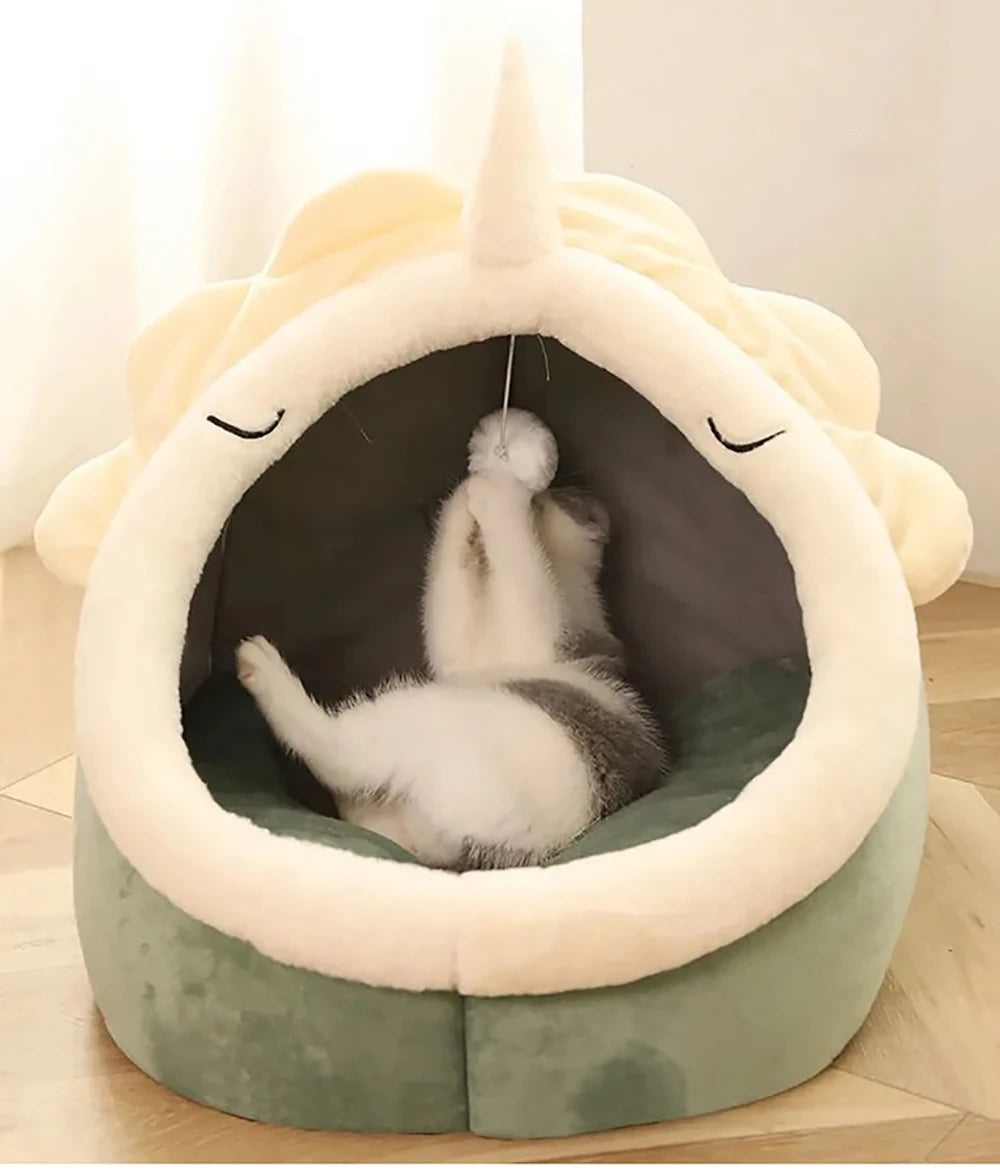 Cat Sleeping Cave