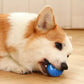 WagN'Roll Smart Ball - Smart Bouncing Toy for Dogs