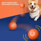 WagN'Roll Smart Ball - Smart Bouncing Toy for Dogs