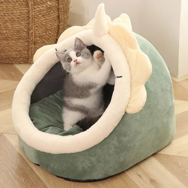 Cat Sleeping Cave