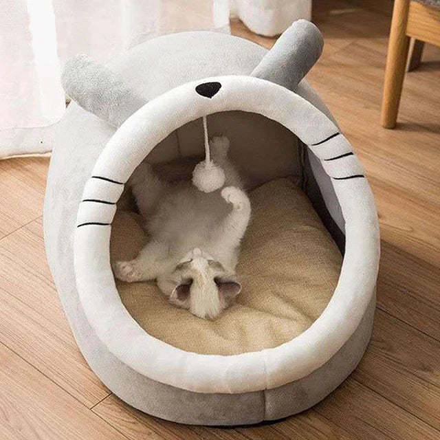 Cat Sleeping Cave