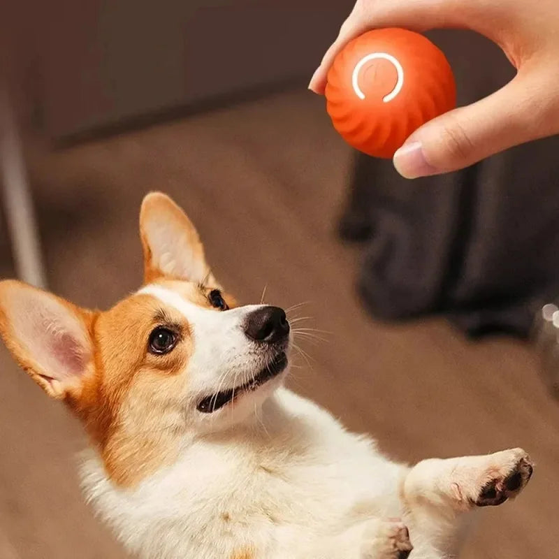 WagN'Roll Smart Ball - Smart Bouncing Toy for Dogs