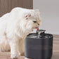 Quiet Flow Water Fountain - For Cat & Dogs hydration