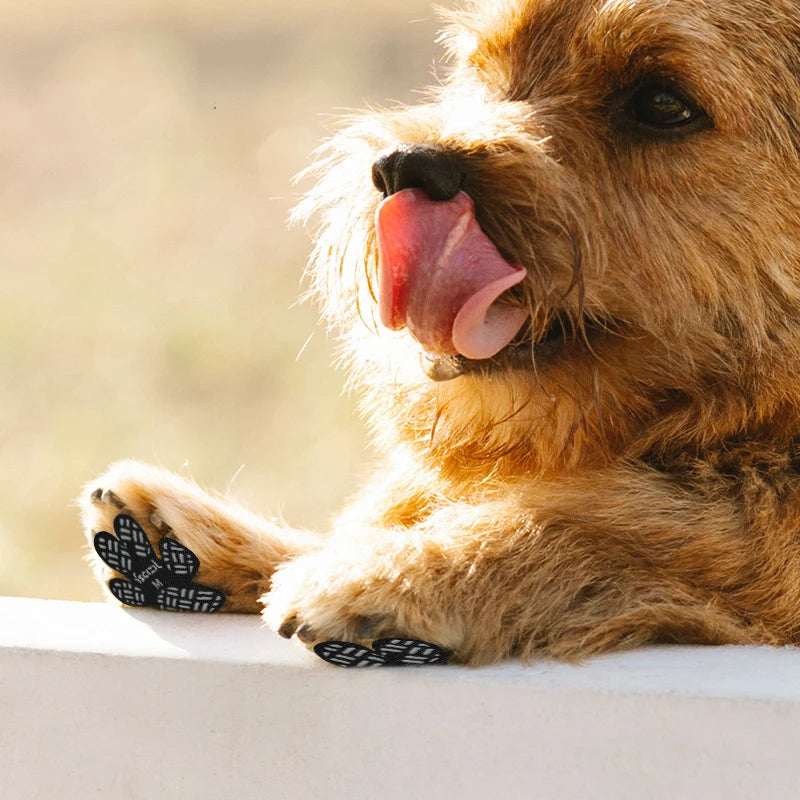 PawGuard Anti-Slip Dog Booties