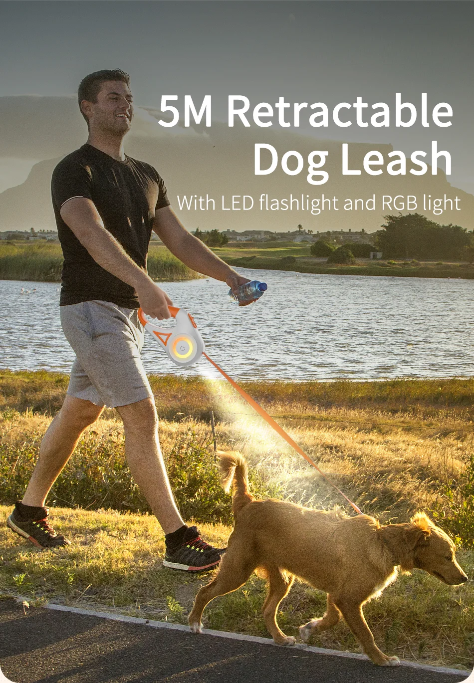 ShineWalk LED Retractable Leash